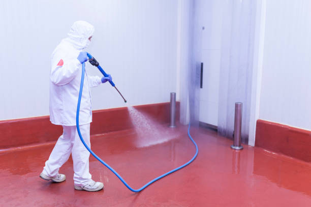 Best Roof Washing  in Del Rey Oaks, CA